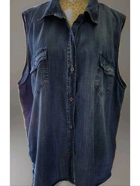 Buffalo by David Bitton Blue Distressed  Sleeveless Collared Plus Blouse  2XL